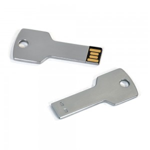 Pen Drive Chave 8GB